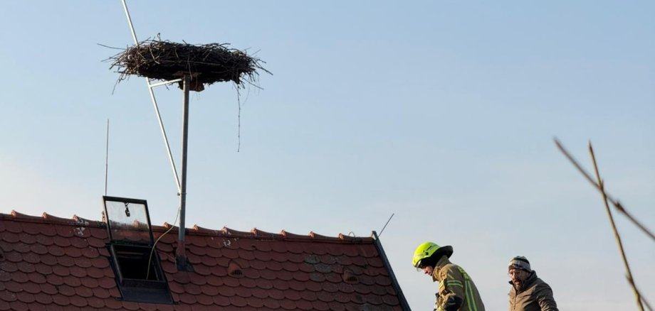 Das Insheimer Storchennest.