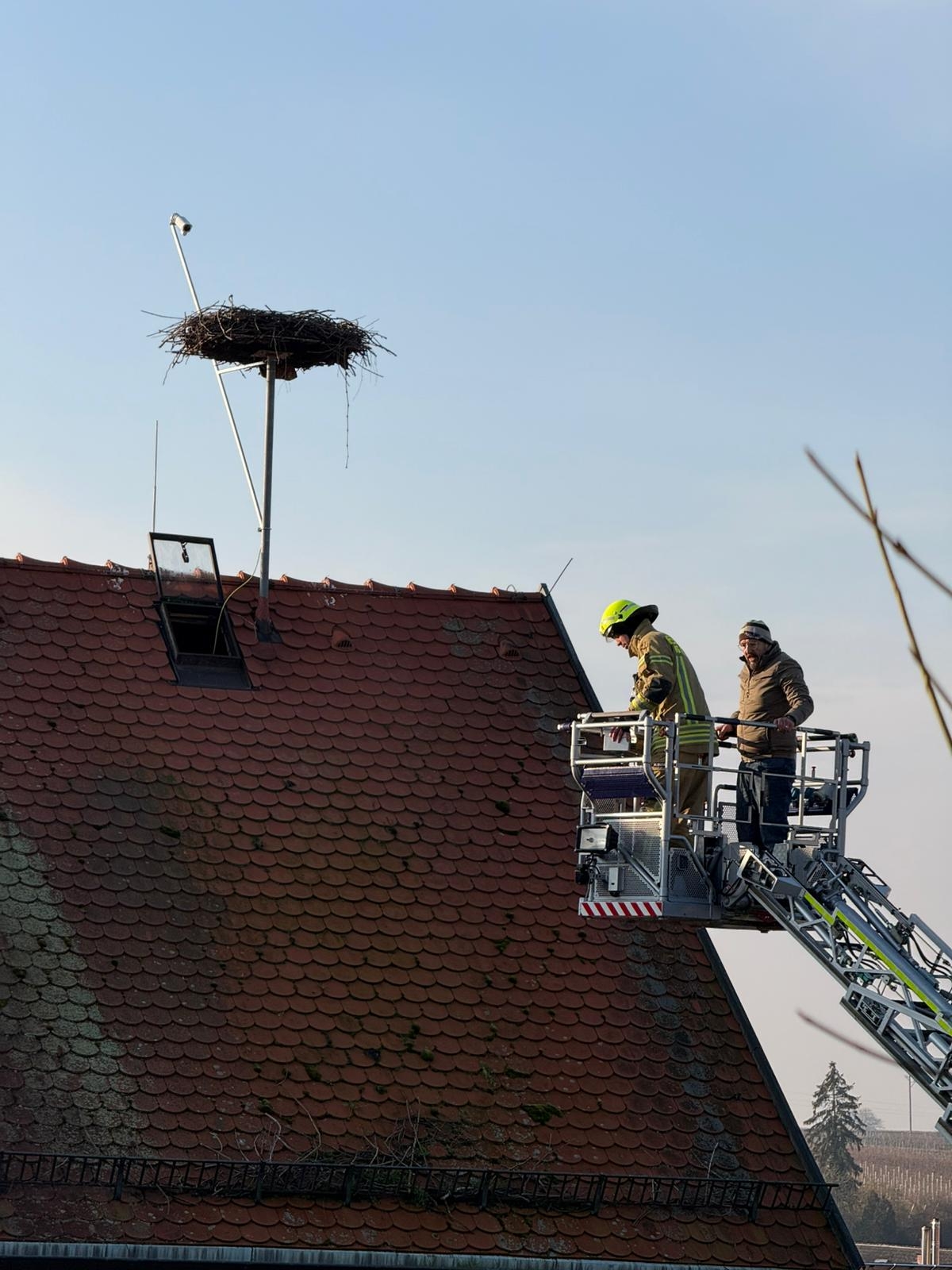 Das Insheimer Storchennest.